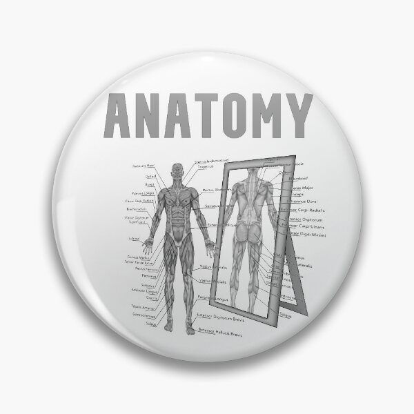 Item preview,  Anatomy designed and sold by HeavyBurden.