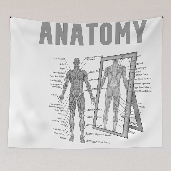 Item preview,  Anatomy designed and sold by HeavyBurden.