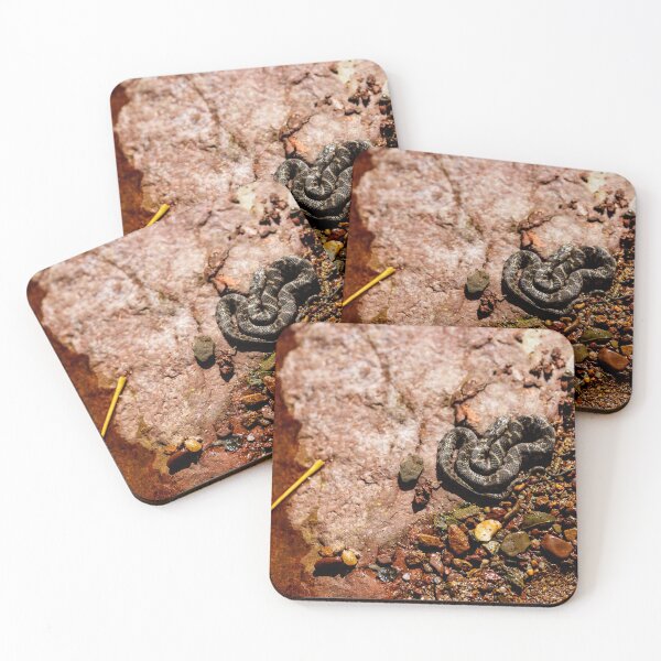 Item preview, Young Water Snake on Red Creek at Dolly Sods West Virginia designed and sold by jodiewitmer.