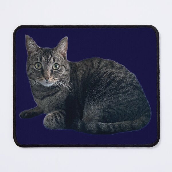 Item preview, Tabby Cutie designed and sold by Amanda1775.