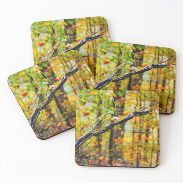 Item preview, Black Rat Snake on a limb with fall foliage in West Virginia   designed and sold by jodiewitmer.