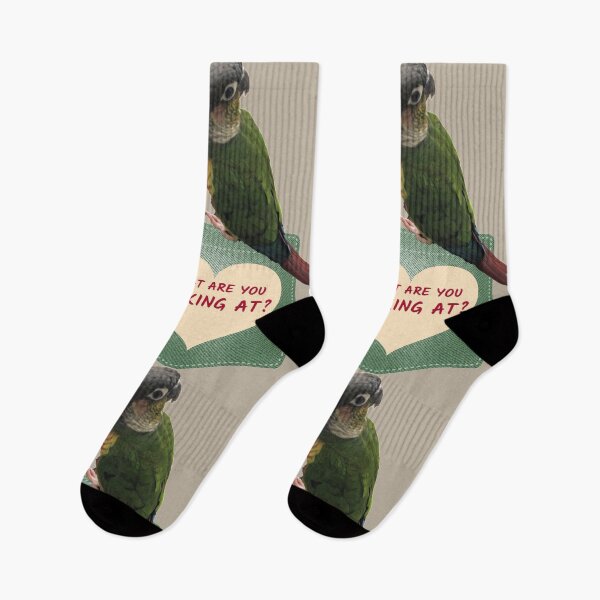 Aperçu de l'œuvre Que regardez-vous Conure sur la poche | Conure à joues vertes design Petit perroquet | Perruche | Amoureux des perroquets créée et vendue par TatianaLG.