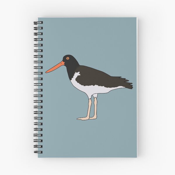 Item preview, American Oystercatcher designed and sold by taylorrowan.