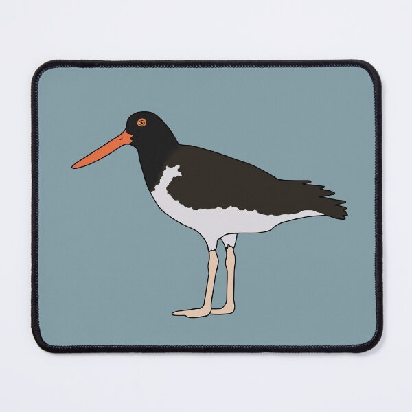 Item preview, American Oystercatcher designed and sold by taylorrowan.
