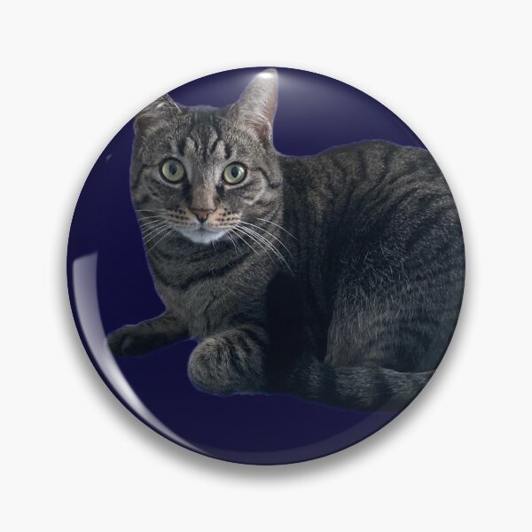 Item preview, Tabby Cutie designed and sold by Amanda1775.