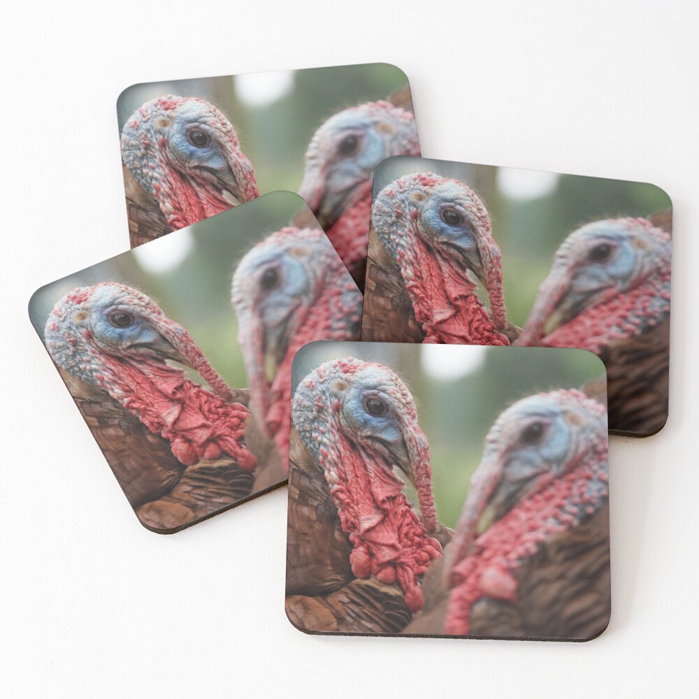 Item preview, Coasters (Set of 4) designed and sold by OzarkAkerzFarm.