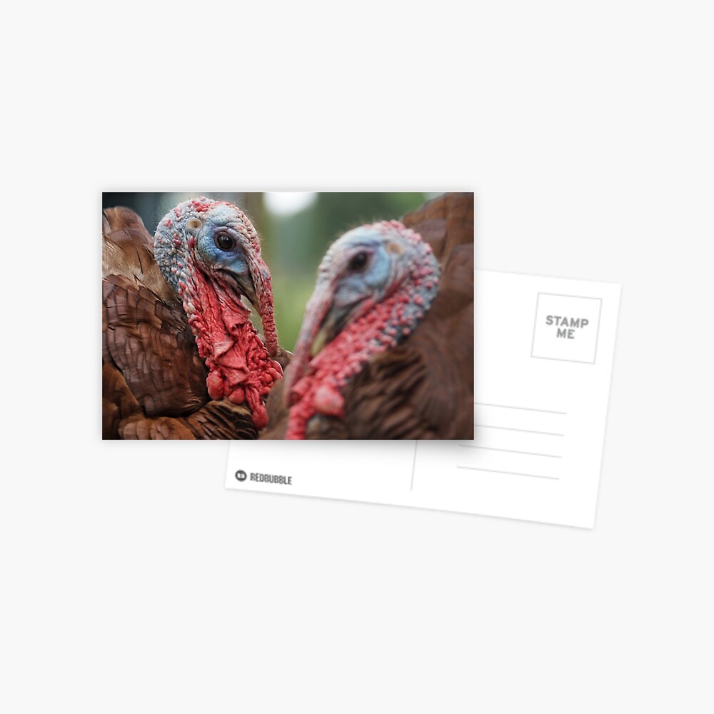 Item preview, Postcard designed and sold by OzarkAkerzFarm.