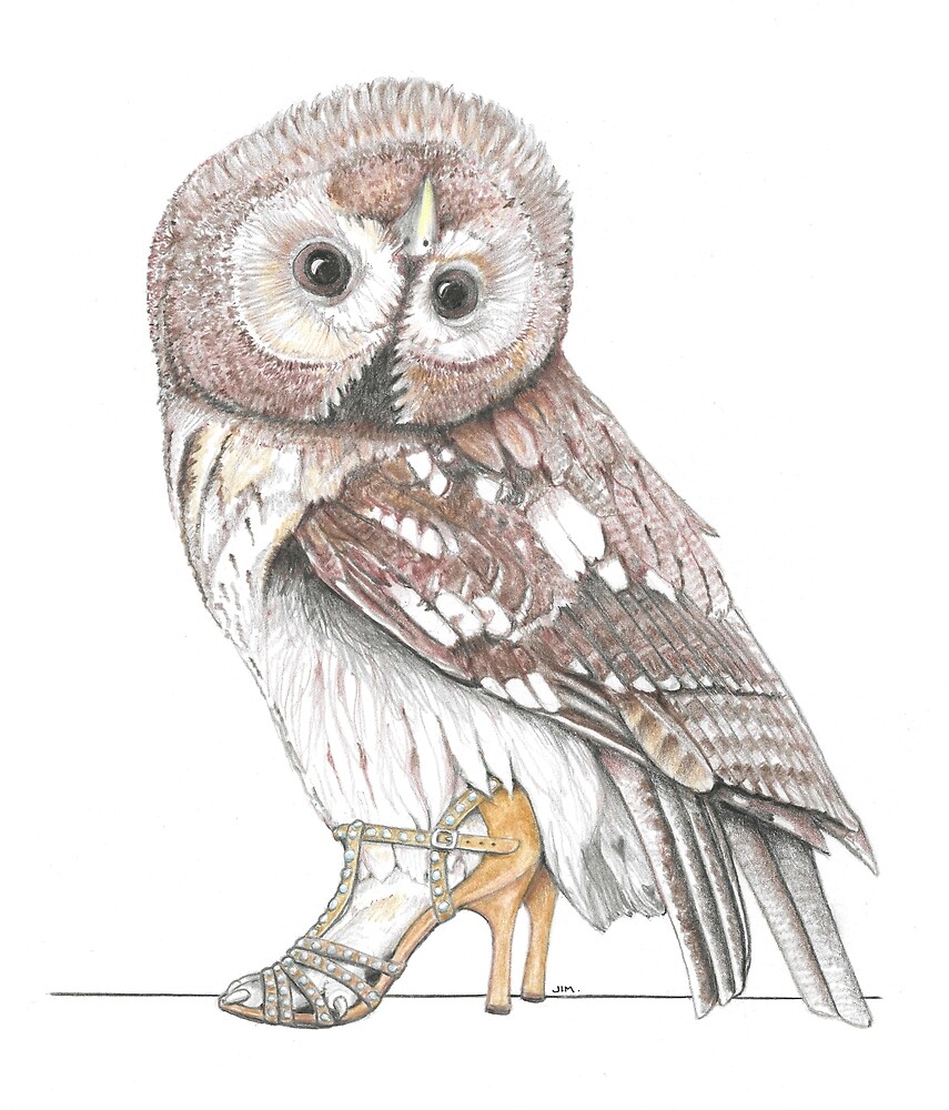 Tawny Owl in Dance Shoes by JimsBirds