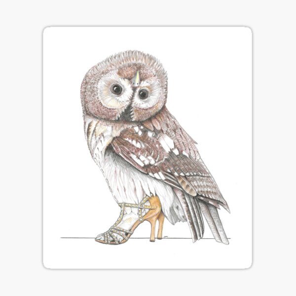 Item preview, Tawny Owl in Dance Shoes designed and sold by JimsBirds.