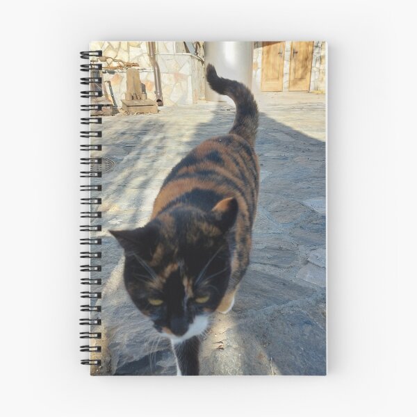 Item preview, Cat in beautiful vineyard designed and sold by coolmix.