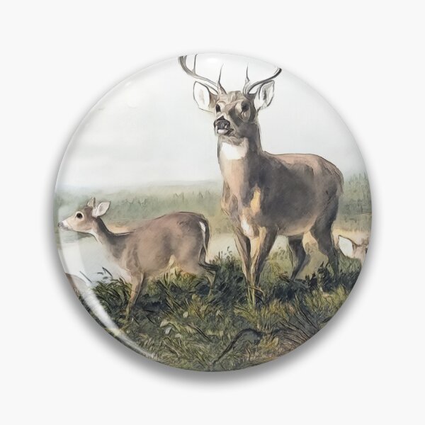 Item preview, Stag Deer Family in the wilderness, color pencil drawing designed and sold by scrolla.