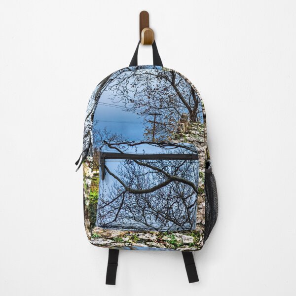 Item preview, ¡Pobre alma, no te engañes! designed and sold by Hercules Milas.