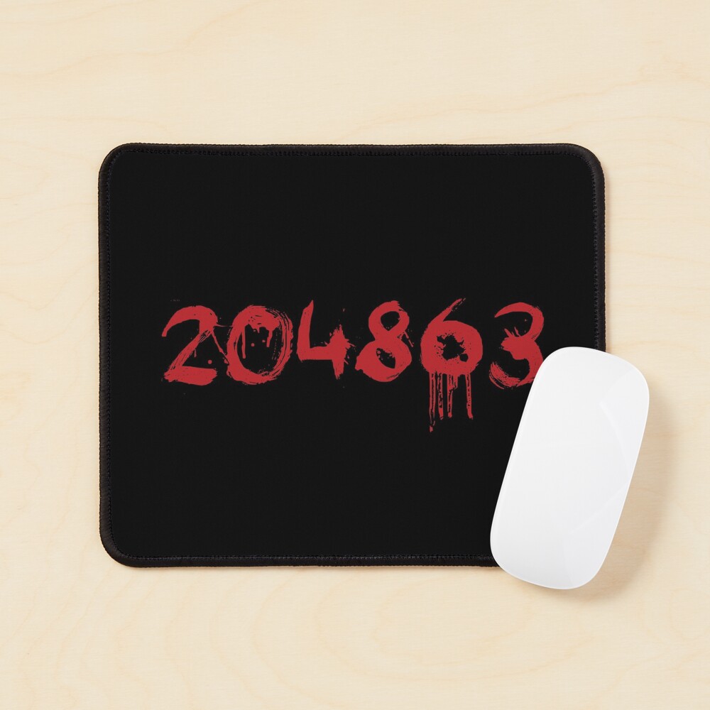 204863