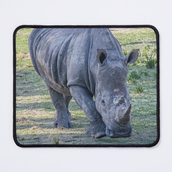 Item preview, Adult Gray Southern White Rhinoceros designed and sold by DoveyCreates.