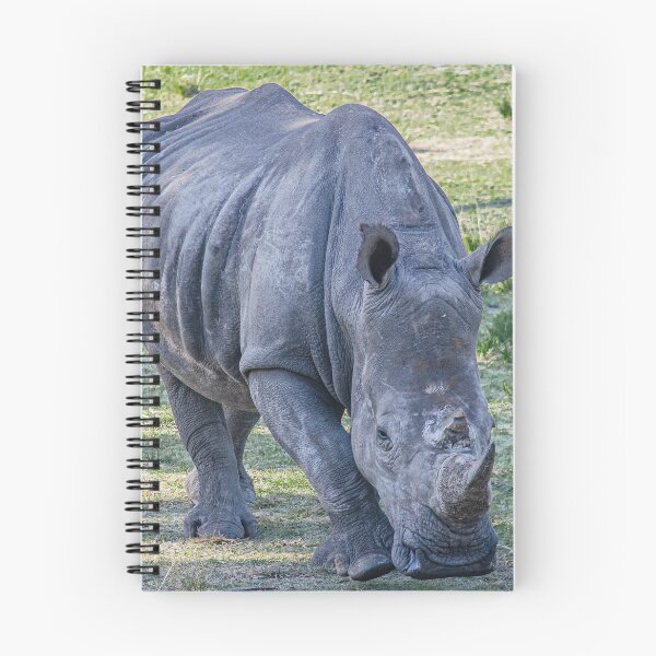 Item preview, Adult Gray Southern White Rhinoceros designed and sold by DoveyCreates.