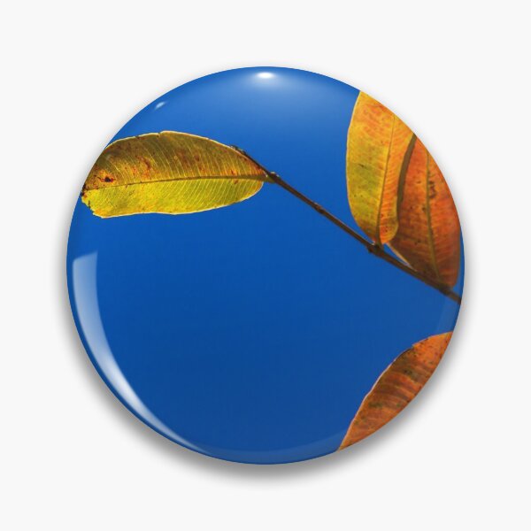 Item preview, leaves in winter. designed and sold by Nino rocha fotografia.