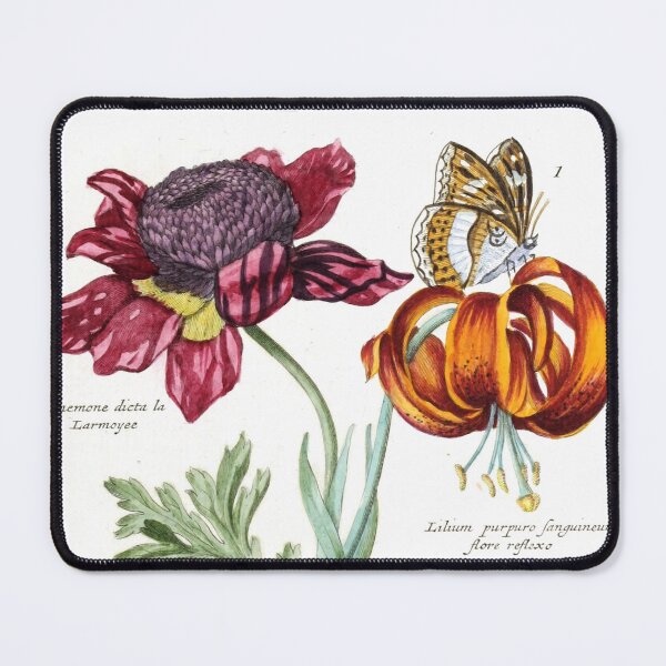 Item preview, Vintage Anemone and Lilium from Nederlandsch bloemwerk (1794) Print designed and sold by Douglas E. Welch Design and Photography.