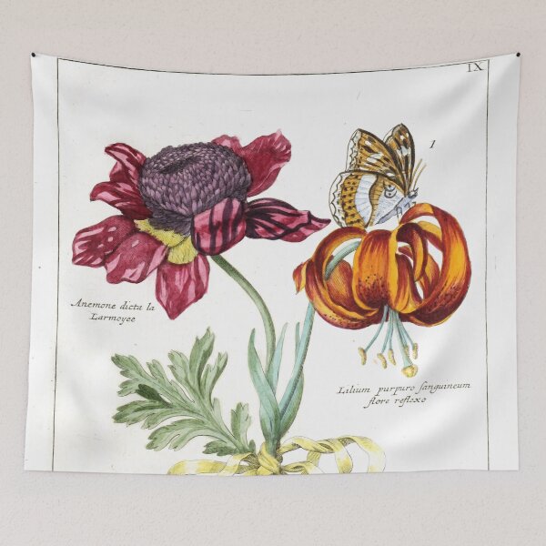 Item preview, Vintage Anemone and Lilium from Nederlandsch bloemwerk (1794) Print designed and sold by Douglas E. Welch Design and Photography.