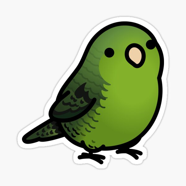 Chubby Green Lineolated Barred Parakeet Sticker