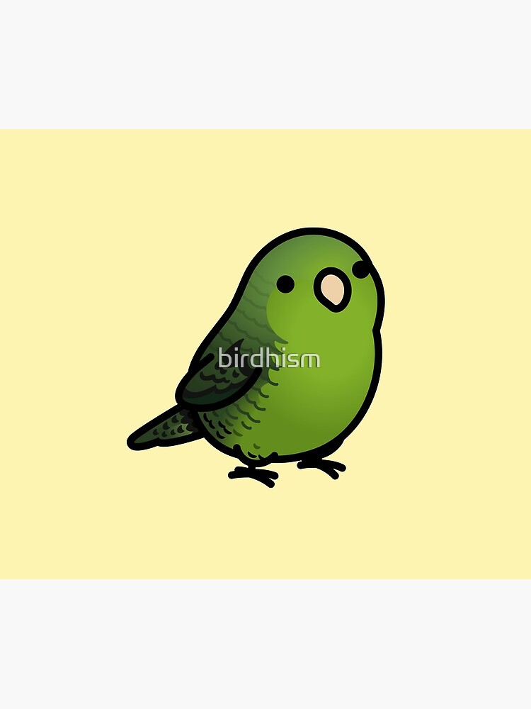 Chubby Green Lineolated Barred Parakeet by birdhism