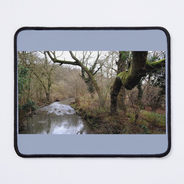 Item preview, River Ash designed and sold by David JC.