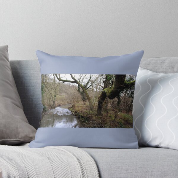 Item preview, River Ash designed and sold by David JC.
