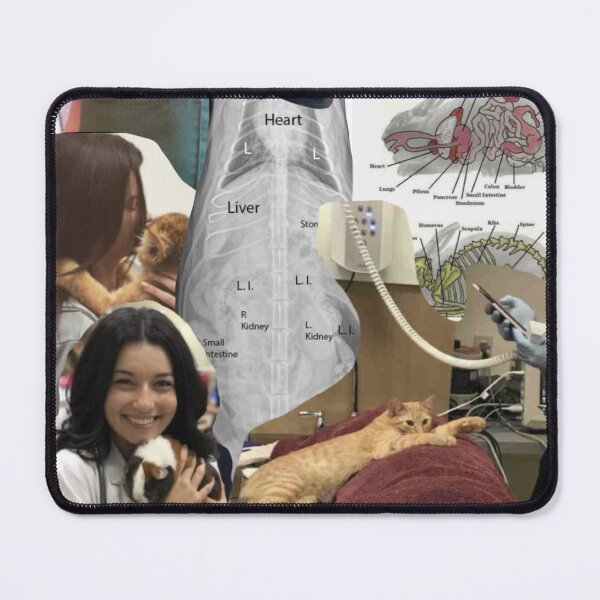 Item preview, Veterinarian designed and sold by princesssomo21.
