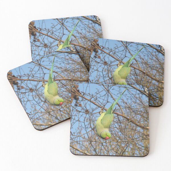 Item preview, Upside Down Rose-Ringed Parakeet Photograph designed and sold by naturegallery.