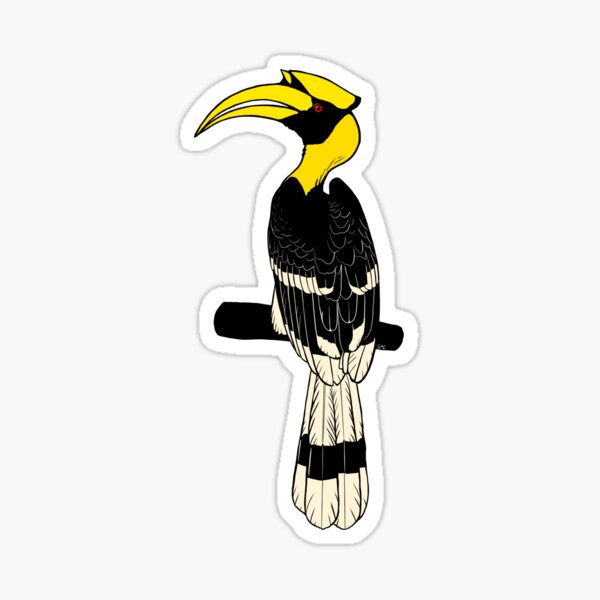 animal hornbill natural logo vector icon silhouette retro hipster 35906444  Vector Art at Vecteezy