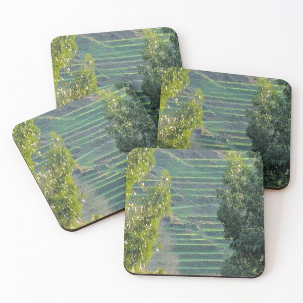 Item preview, Socalcos Behind Trees in Monchique designed and sold by AngeloDeVal.