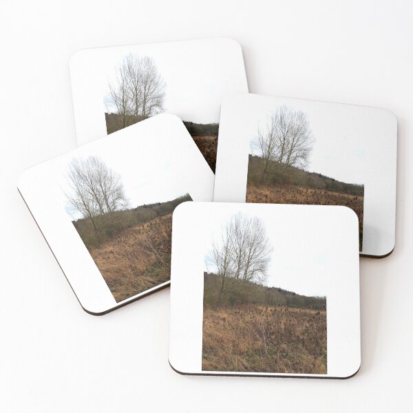 Item preview, Winter Teasels designed and sold by David JC.