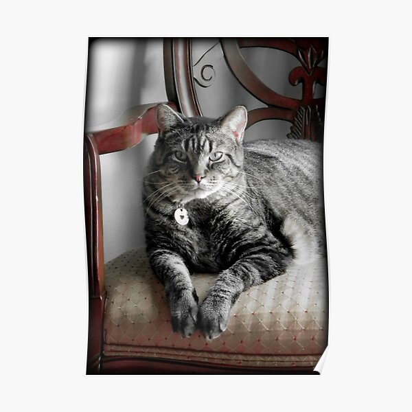 My Boo © Poster