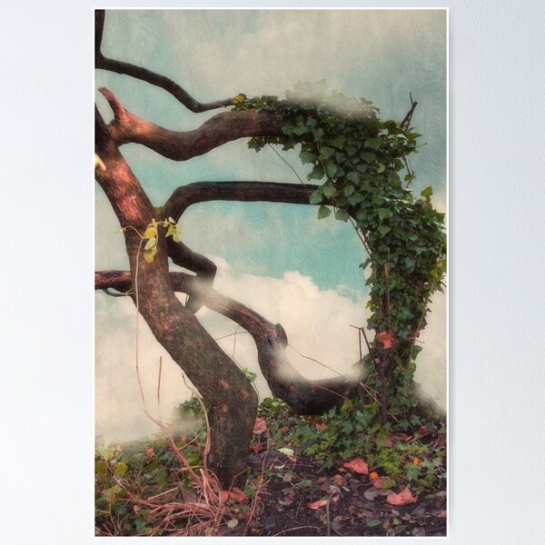 Item preview, The Beauty Of Nature designed and sold by Christine Lake.