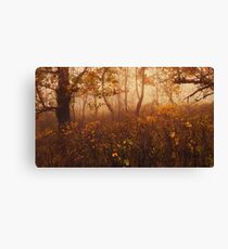 Fairyland Canvas Print
