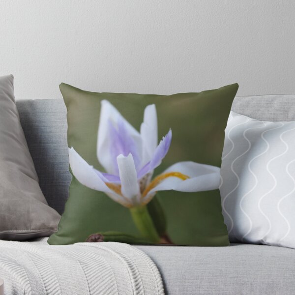 Item preview, Spring has Sprung designed and sold by ErinJain.