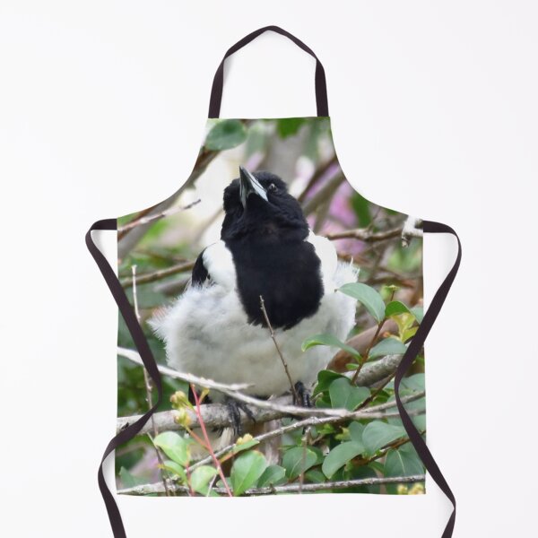 Item preview, Pied Butcher Bird Photography designed and sold by Digitaldingo.