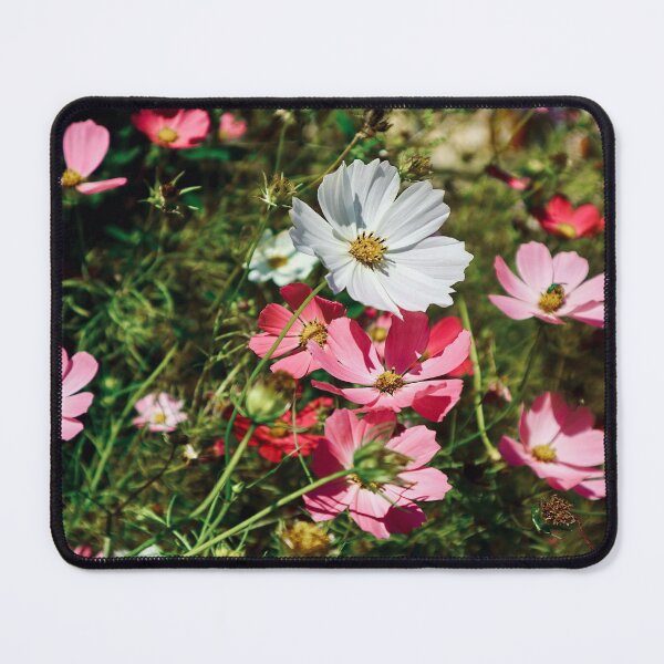 Item preview, Wild Cosmos designed and sold by Angela Fazio.