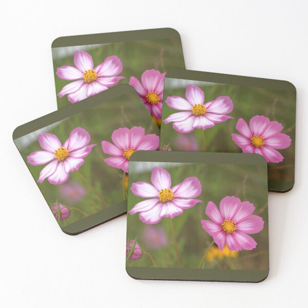 Item preview, Pink and White Cosmos Flowers designed and sold by K D Graves Photography.