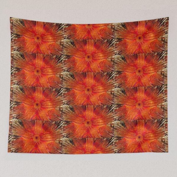 Item preview, Rainbow Fire Urchin, Wakatobi National Park, Indonesia designed and sold by Erik Schlogl.