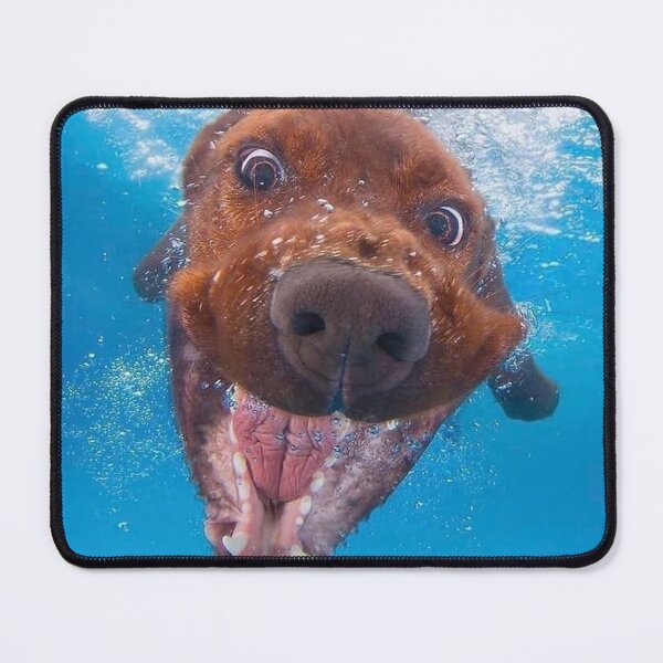 Item preview, Dog in swimming pool designed and sold by gameshowfan2001.