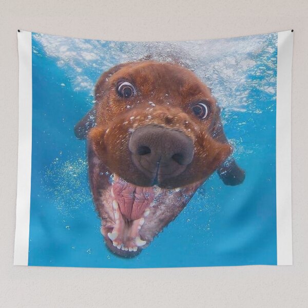 Item preview, Dog in swimming pool designed and sold by gameshowfan2001.