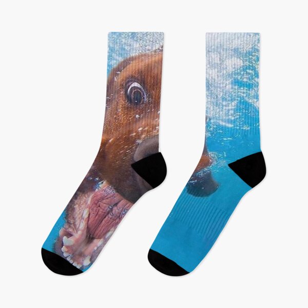 Item preview, Dog in swimming pool designed and sold by gameshowfan2001.