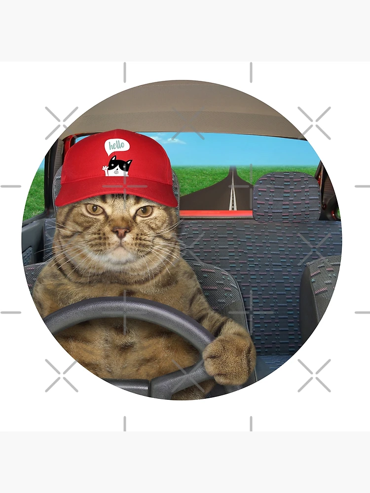 Chats selfie désodorisant désodorisant de voiture mignon accessoire de voiture  drôle nouveau cadeau de conducteur cadeau pour accro selfie cadeau pour  amoureux des chats -  France