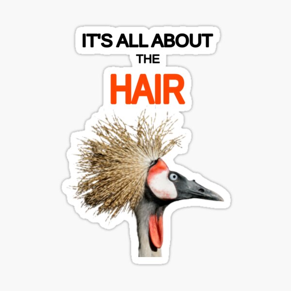 It's All About The Hair - Funny Bird - Crane It's All About The Hair - Funny Bird - Crane