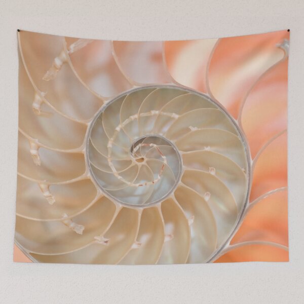 Item preview, Shell cross section fractal spiral in soft pastel pink and cream tones designed and sold by Orianah.