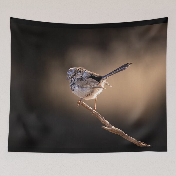 Item preview, Superb Fairy-Wren in shadows designed and sold by red-robyn-art.