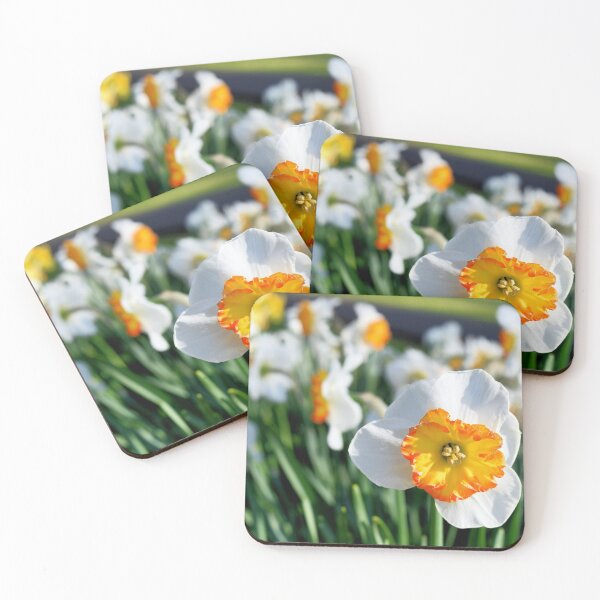 Item preview, Flower in Sunlight designed and sold by AnnoyedMouse.
