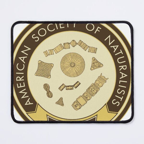 Item preview, Diatoms (Yellow) designed and sold by American Society of Naturalists.