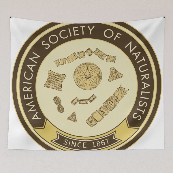 Item preview, Diatoms (Yellow) designed and sold by American Society of Naturalists.