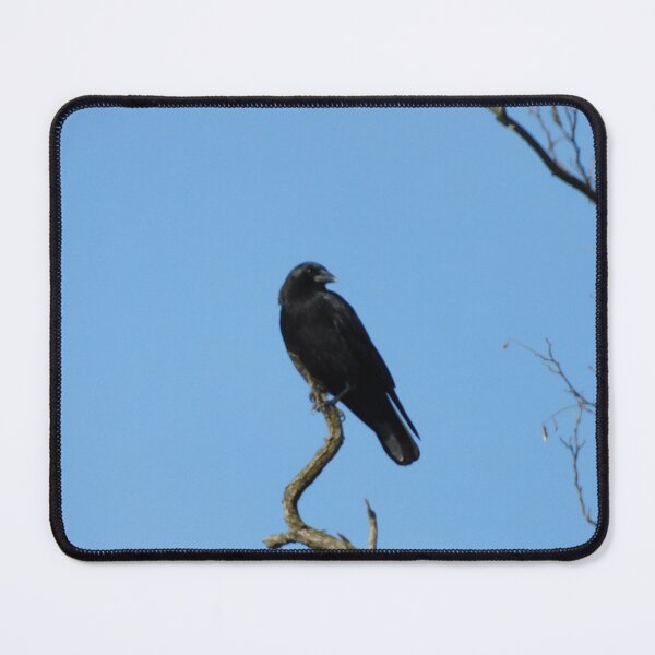 Item preview, The big black bird designed and sold by Zarabeaver.